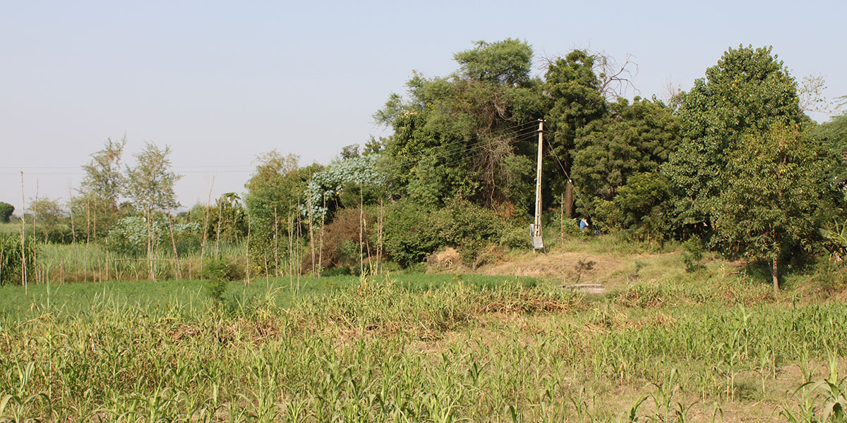Monument Image