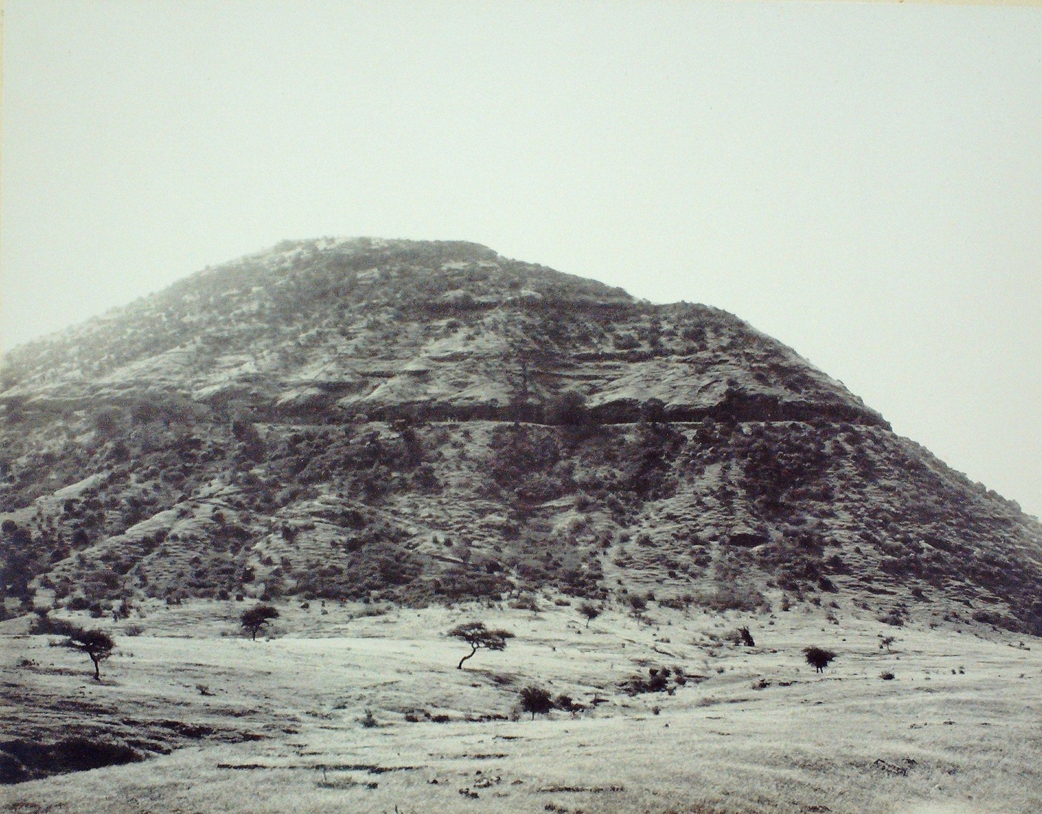 Archival Image 2